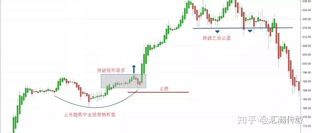美丽广东，志愿有我——志愿者进社区开展环保活动